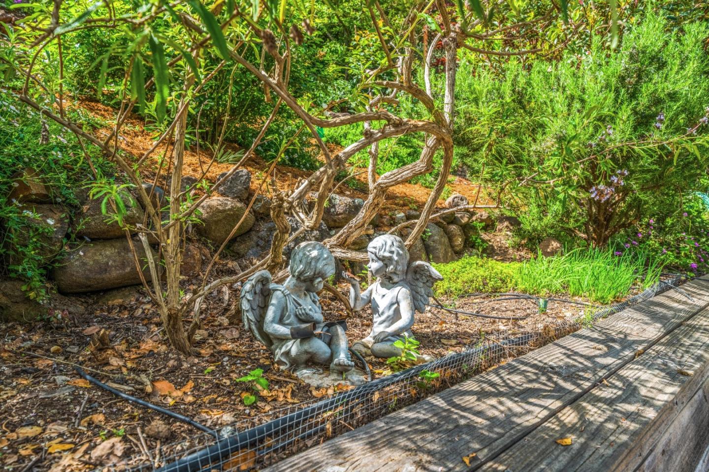 533 La Honda Drive Aptos, CA 95003 - Photo 5 of 44 a backyard of a house with lots of green space