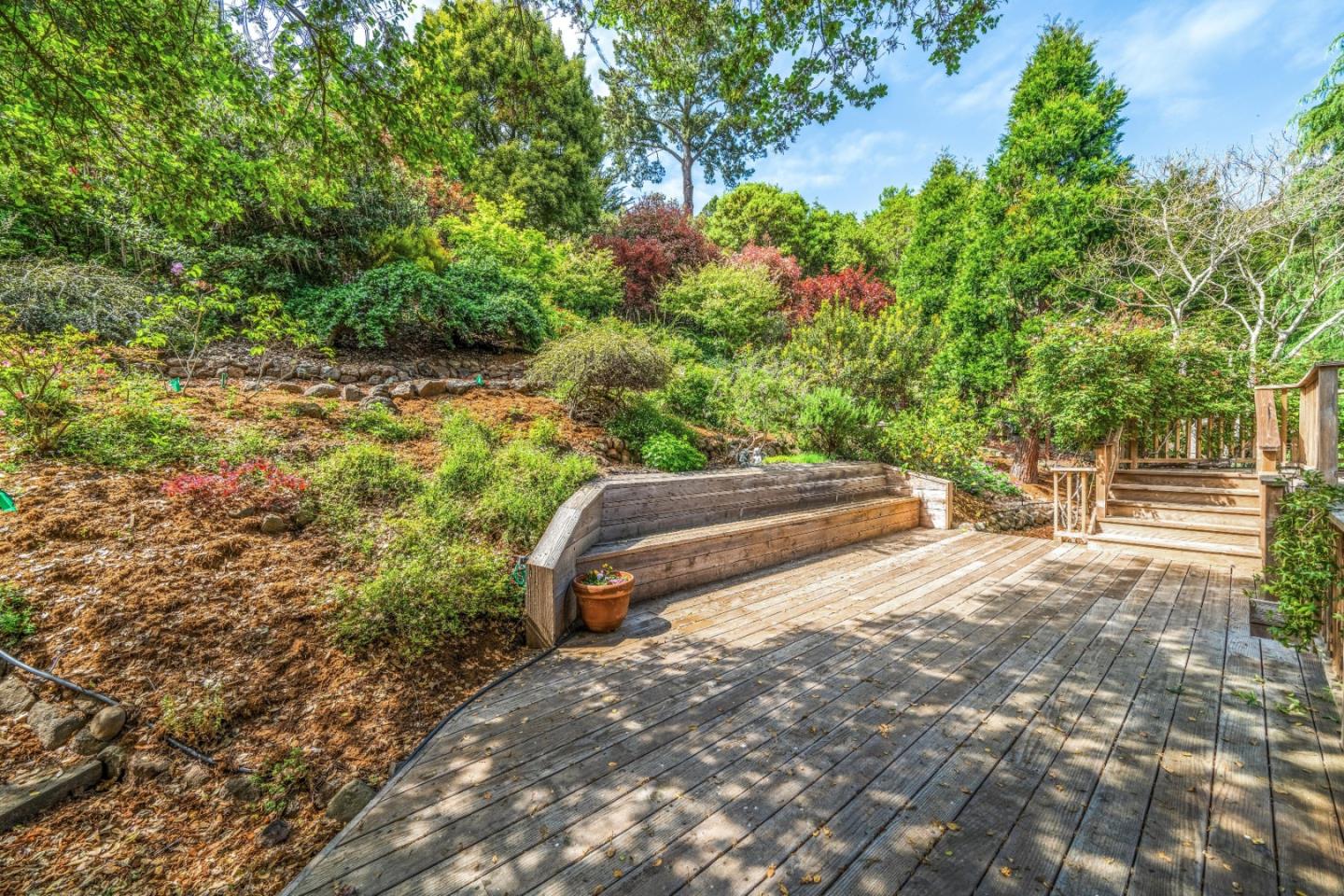533 La Honda Drive Aptos, CA 95003 - Photo 6 of 44 a view of a backyard with lawn chairs and large trees