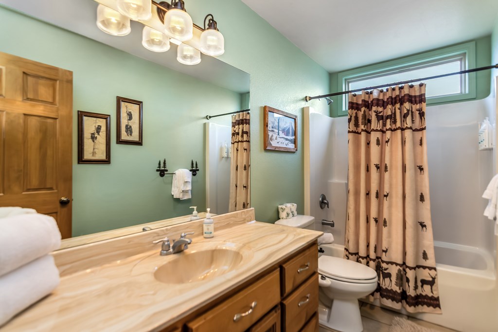 62 Trophy Buck Point Murphy, NC 28906 - Photo 25 of 46 a bathroom with a sink a toilet and shower