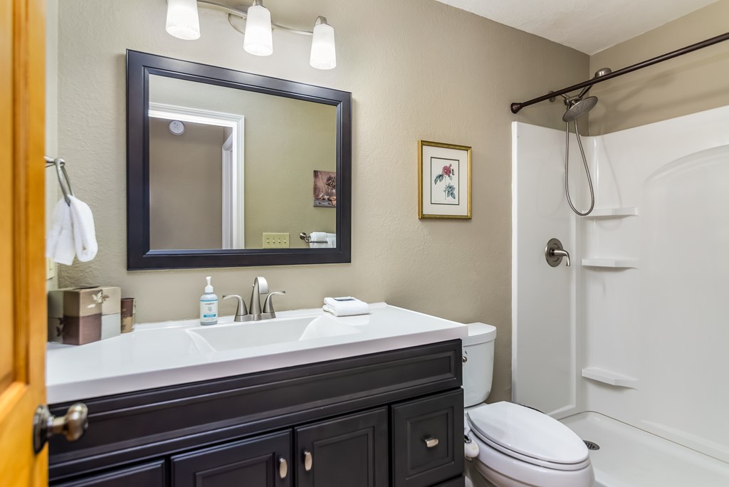 62 Trophy Buck Point Murphy, NC 28906 - Photo 33 of 46 a bathroom with a sink a toilet a mirror and shower