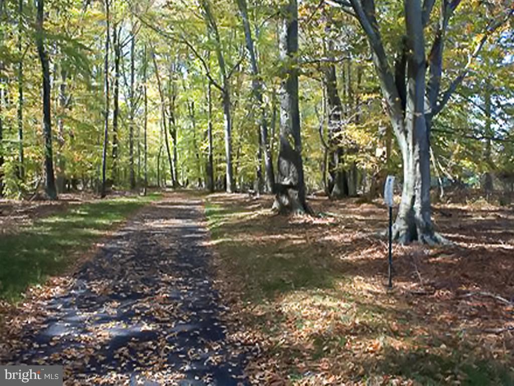 3409 St Marys View Road Accokeek, MD 20607 - Photo 30 of 46 Gallery Image 30