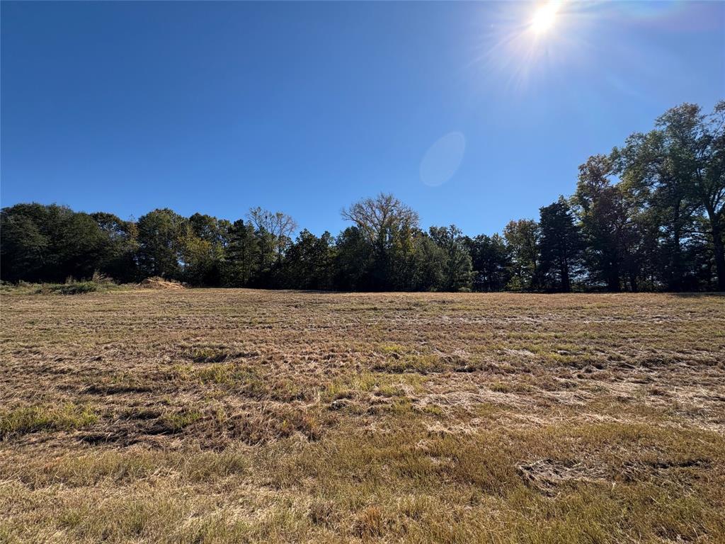 0 State Highway Frankston, TX 75763 - Photo 4 of 6 a view of a field with trees in the background