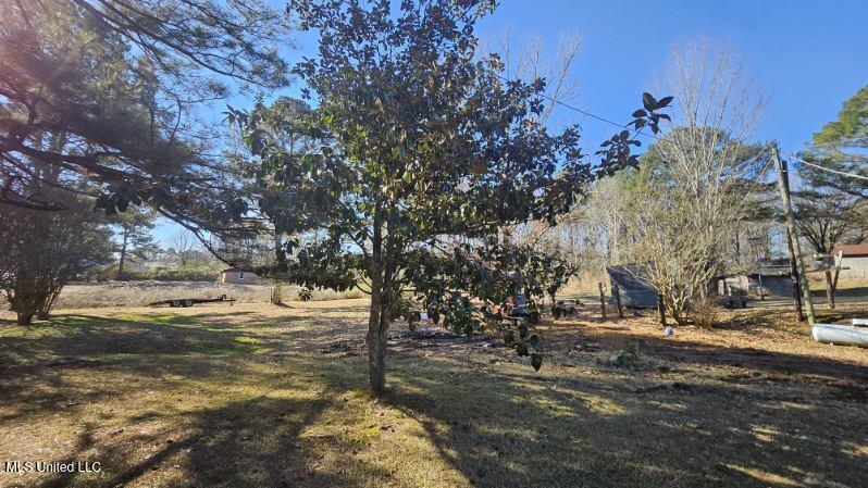 31 Otto Sanford Road Courtland, MS 38620 - Photo 5 of 10 c4155734-51be-4885-bffb-9e343548a69a