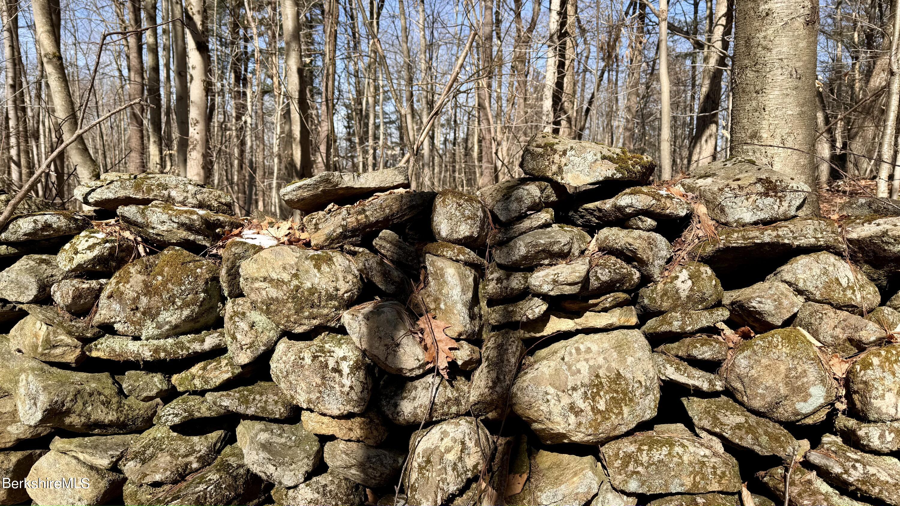 12 West Hubbard Road Sandisfield, MA 01255 - Photo 12 of 17 Stonewalls