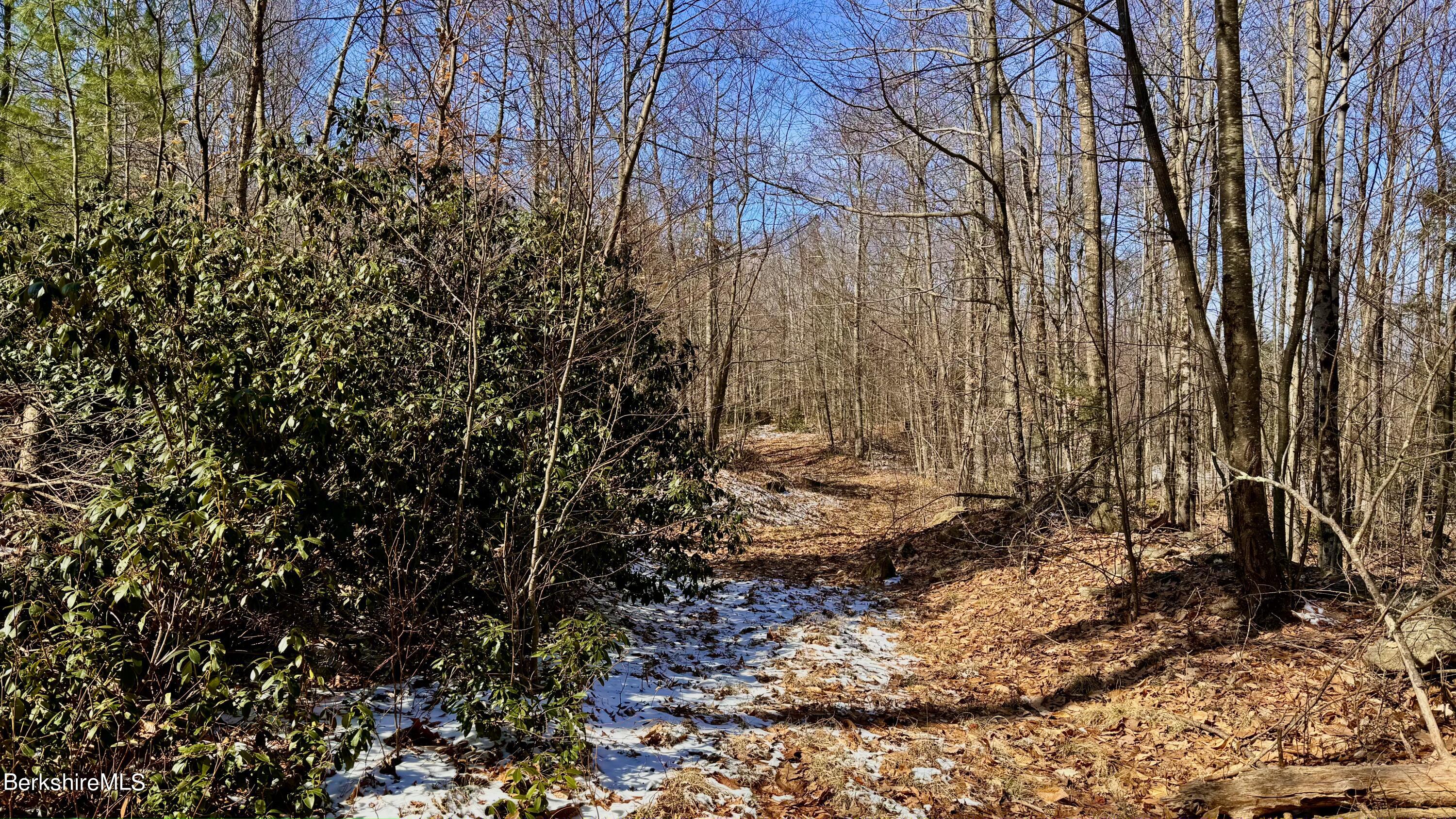 12 West Hubbard Road Sandisfield, MA 01255 - Photo 14 of 17 F7ACFB1D-81A7-4B34-B4D3-C08137BD09C5_1_2