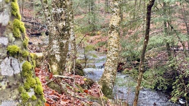 12 West Hubbard Road Sandisfield, MA 01255 - Photo 3 of 17 Stream on the SE side of property