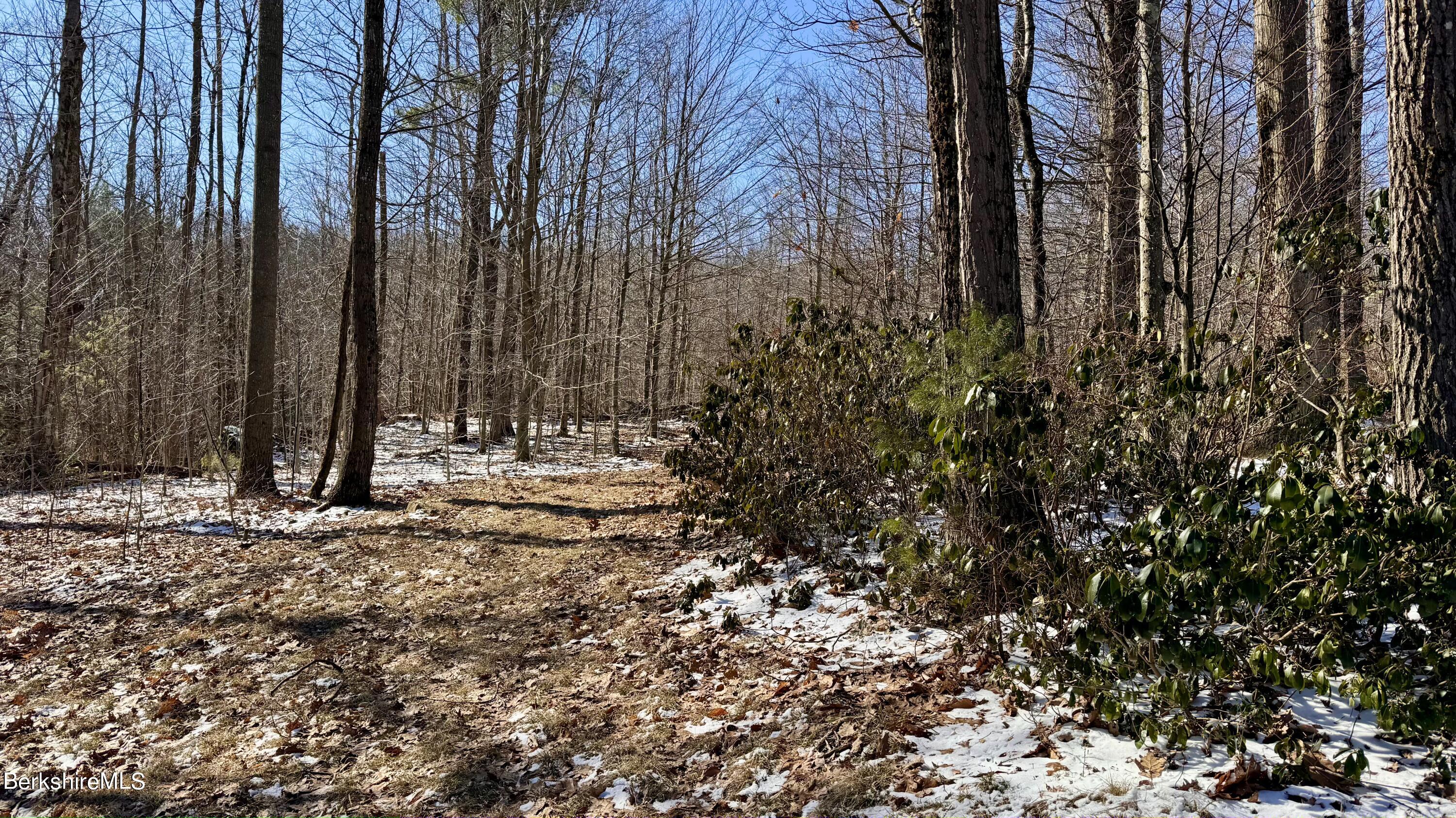 12 West Hubbard Road Sandisfield, MA 01255 - Photo 4 of 17 823A0909-653D-4373-8474-7D0F1D34AF46_1_2