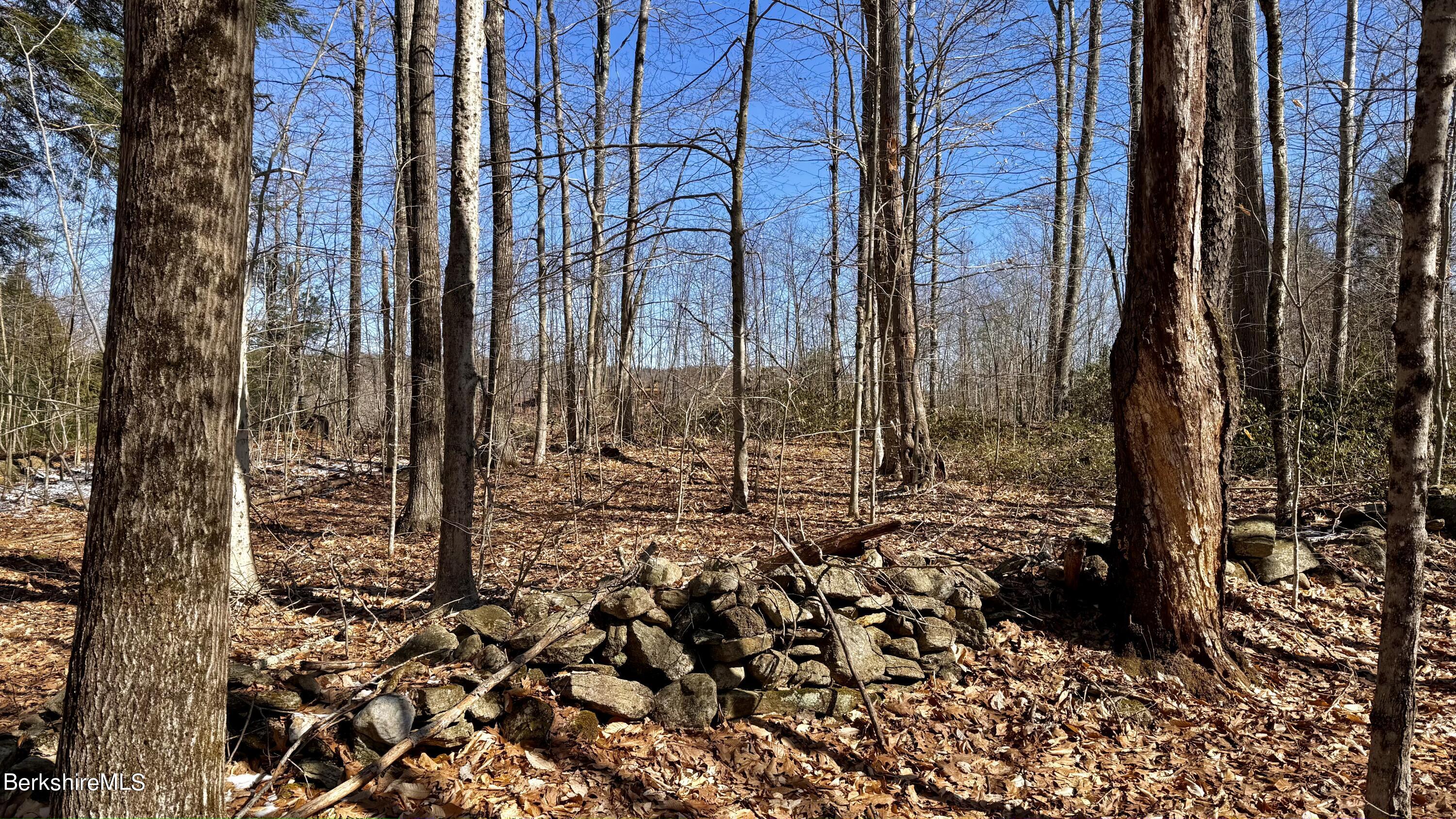 12 West Hubbard Road Sandisfield, MA 01255 - Photo 7 of 17 47B0ABCB-3AA0-491A-851F-234B5CAD0479_1_2