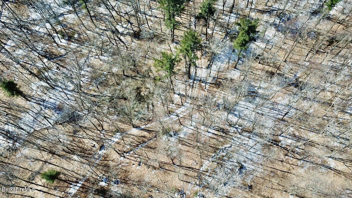 12 West Hubbard Road Sandisfield, MA 01255 - Photo 8 of 17 946EAB57-C4CE-499E-AD43-A44FDF8E842B_1_1