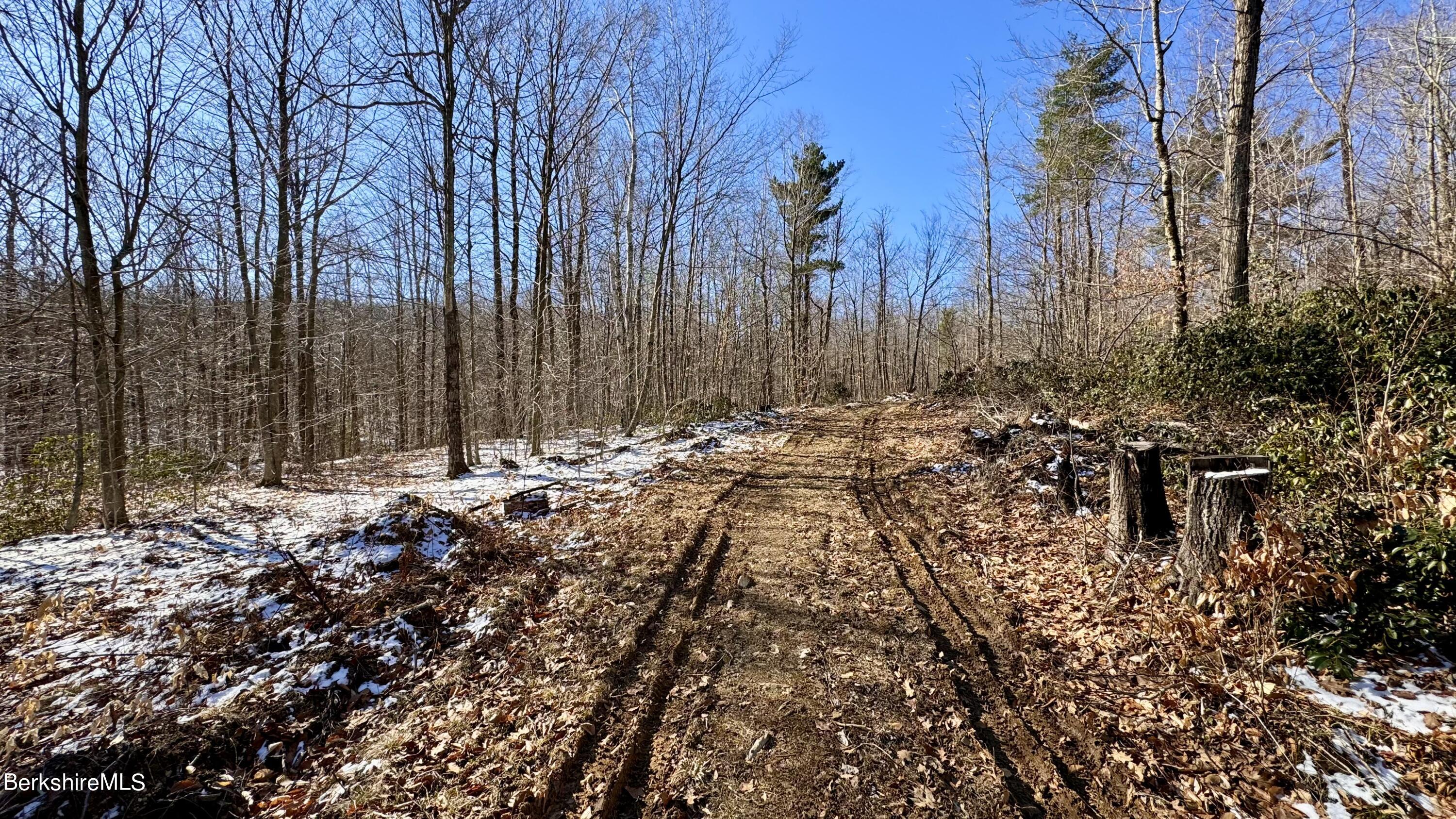 12 West Hubbard Road Sandisfield, MA 01255 - Photo 10 of 17 0616AE5F-6FFA-4F0A-8BB8-16F2C7C798BF_1_2