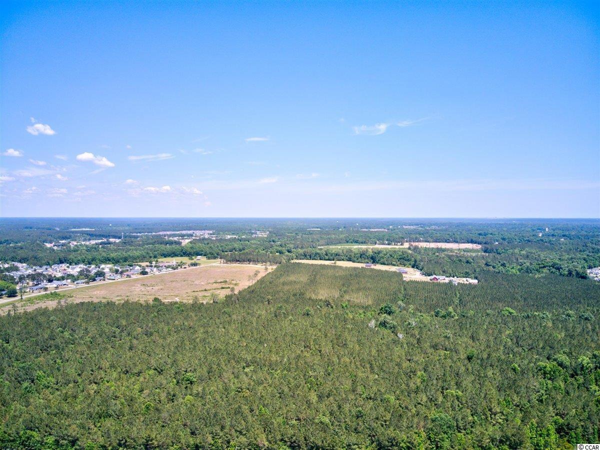 1329 Valor Road Conway, SC 29527 - Photo 30 of 33 Gallery Image 30