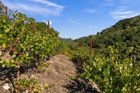 $5,999,000 | 17435 Phillips Avenue, Los Gatos, CA 95030