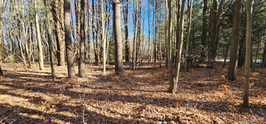 0 Barth Road Smiths Creek, MI 48074 - Photo 8 of 10 Gallery Image 8