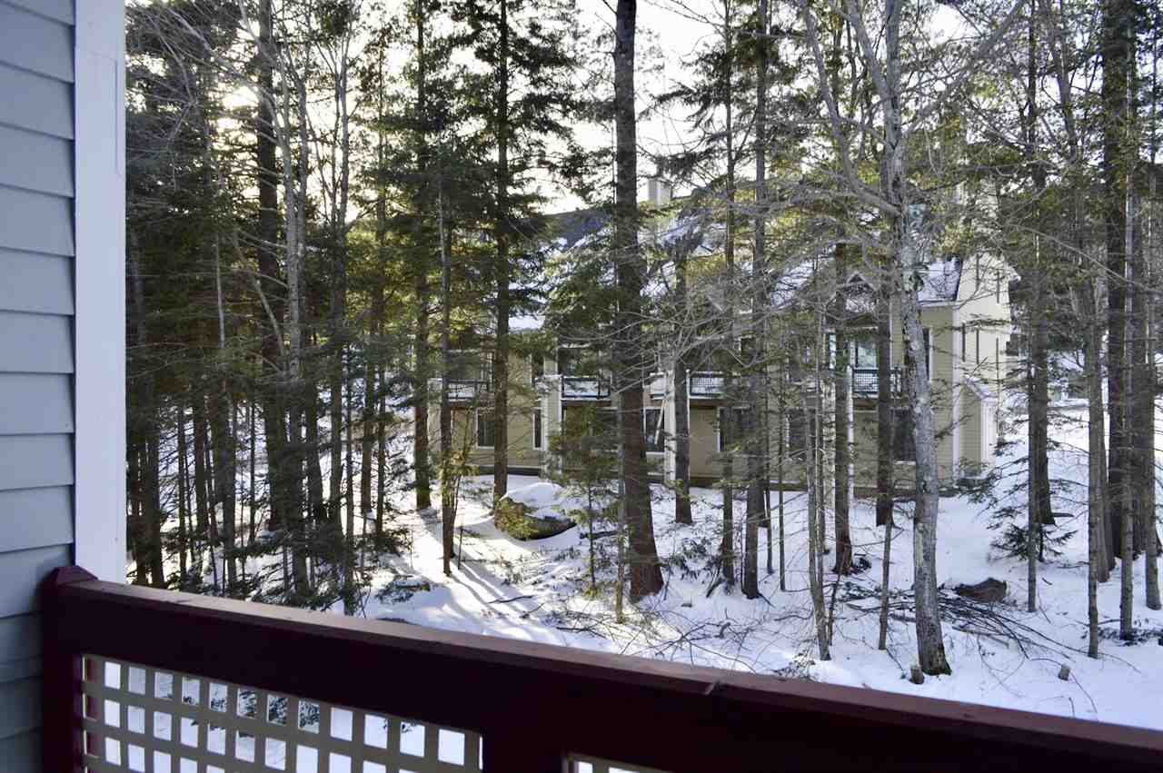 5 R Northbrook Village Road, Unit A34 West Dover, VT 05356 - Photo 7 of 20 Gallery Image 7