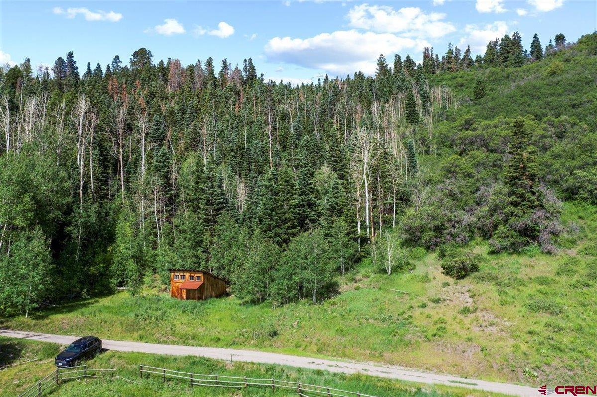 361 Golden Ridge Drive Ridgway, CO 81432 - Photo 16 of 25 a view of a lush green field