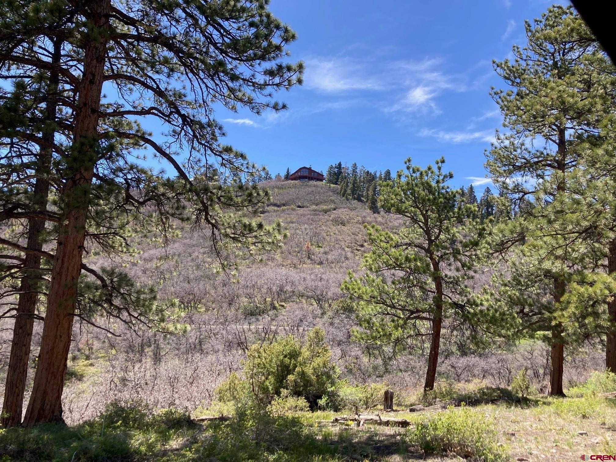 361 Golden Ridge Drive Ridgway, CO 81432 - Photo 18 of 25 a view of a yard with a tree