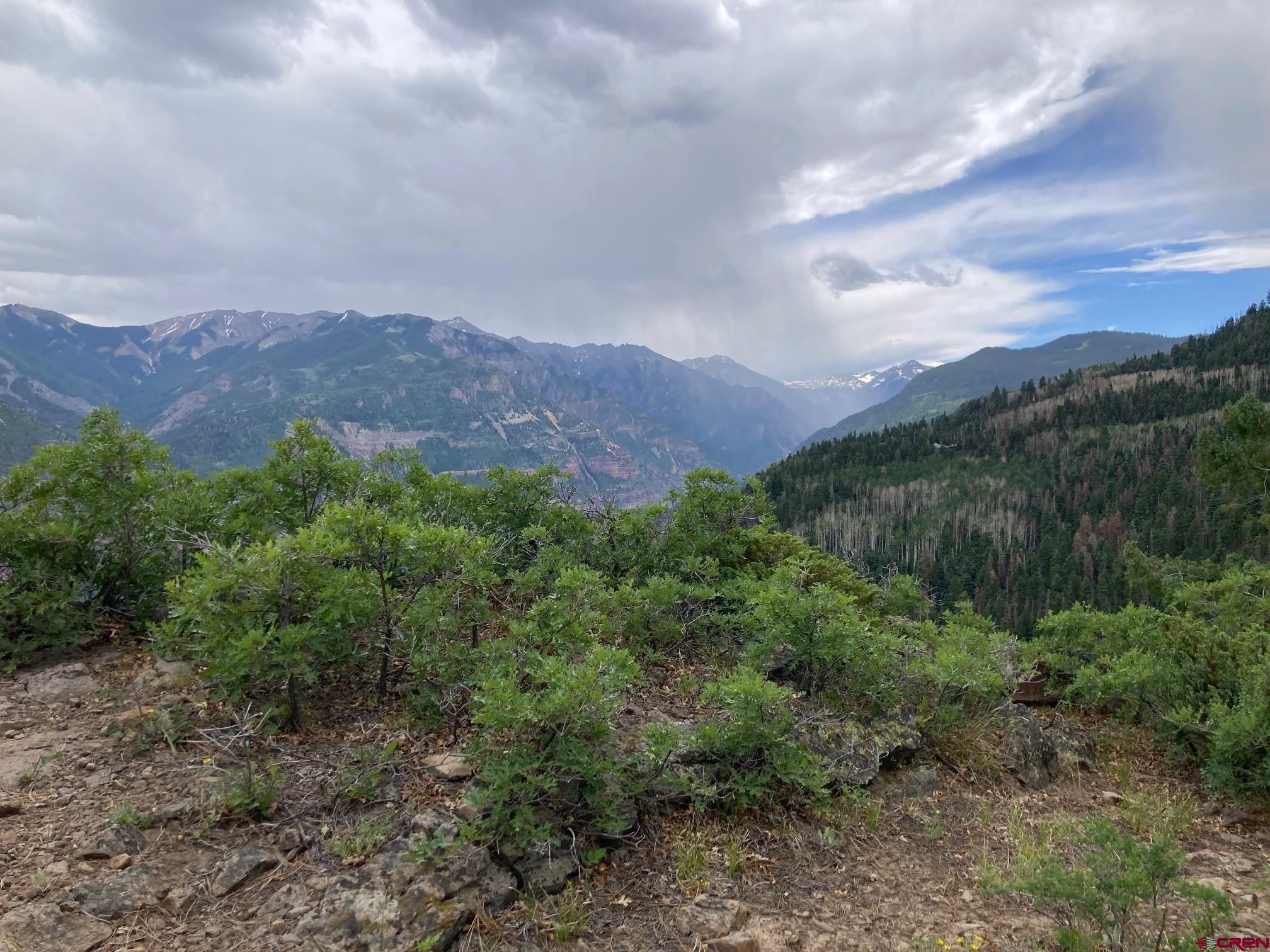 361 Golden Ridge Drive Ridgway, CO 81432 - Photo 19 of 25 a view of a lush green hillside and a mountain