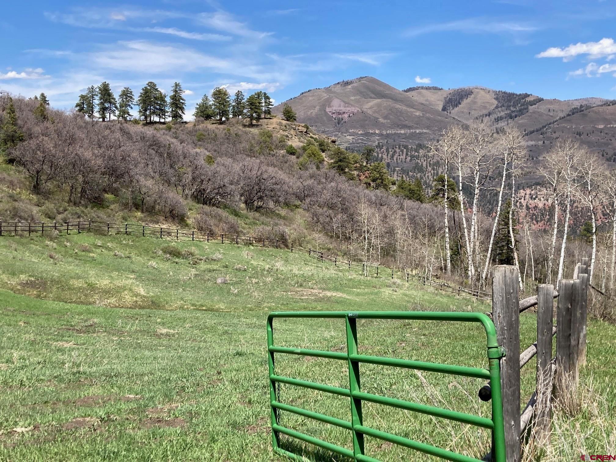 361 Golden Ridge Drive Ridgway, CO 81432 - Photo 6 of 25 a view of a back yard from a balcony