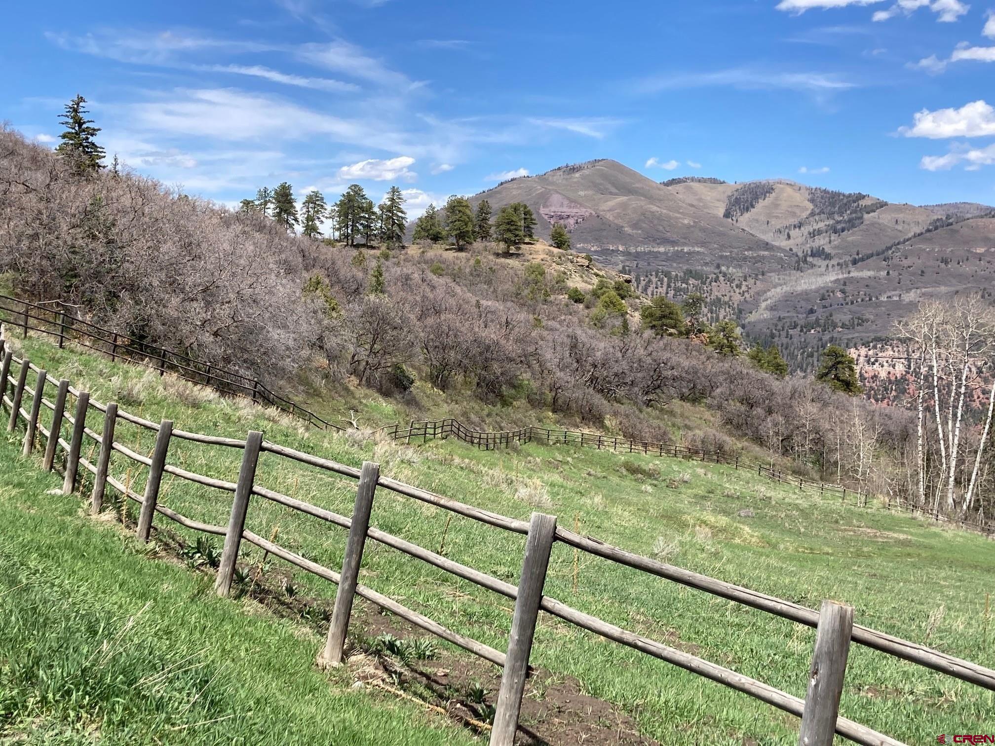361 Golden Ridge Drive Ridgway, CO 81432 - Photo 7 of 25 a view of a yard with wooden fence
