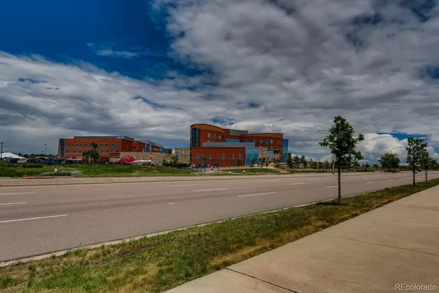 a view of a garden with an tree