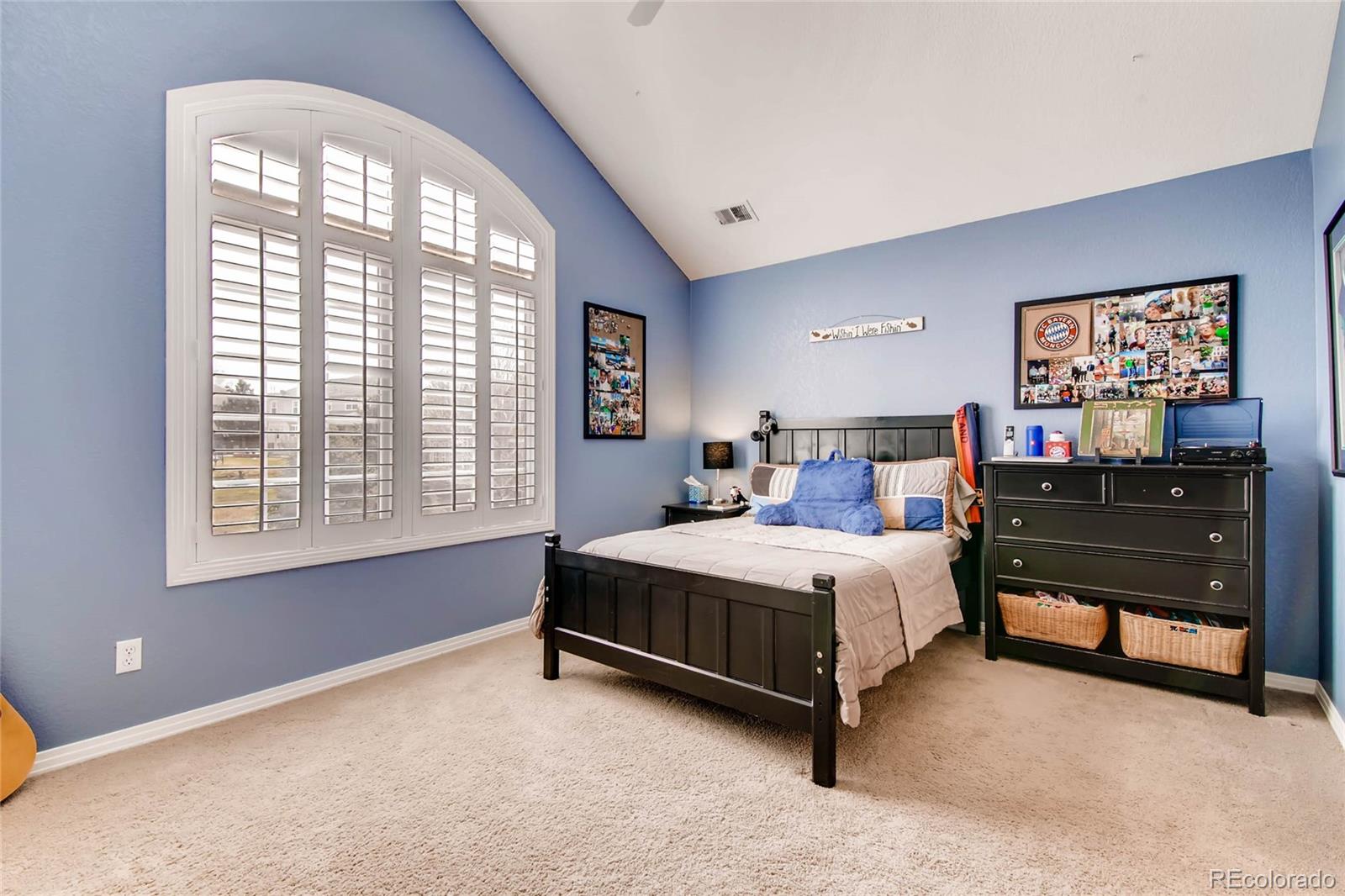 10628 Ridgecrest Circle Highlands Ranch, CO 80129 - Photo 20 of 35 Gallery Image 20