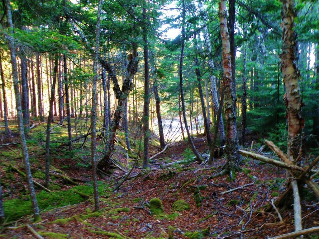 0 Windward Way Addison, ME 04606 - Photo 10 of 30 Photo