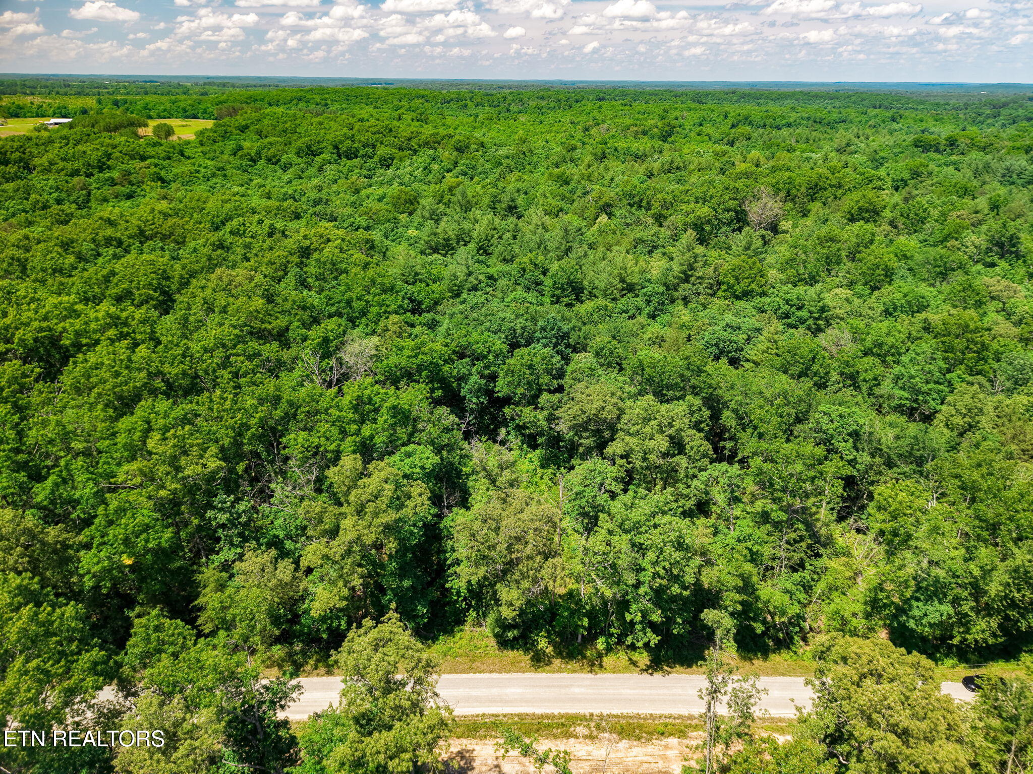 246-tbd Perkins Trail Deer Lodge, TN 37726 - Photo 6 of 15 2-web-or-mls-002--FULL