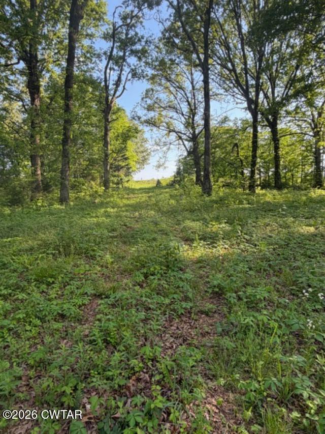 0 McBride Cemetery Road Sardis, TN 38371 - Photo 7 of 41 46