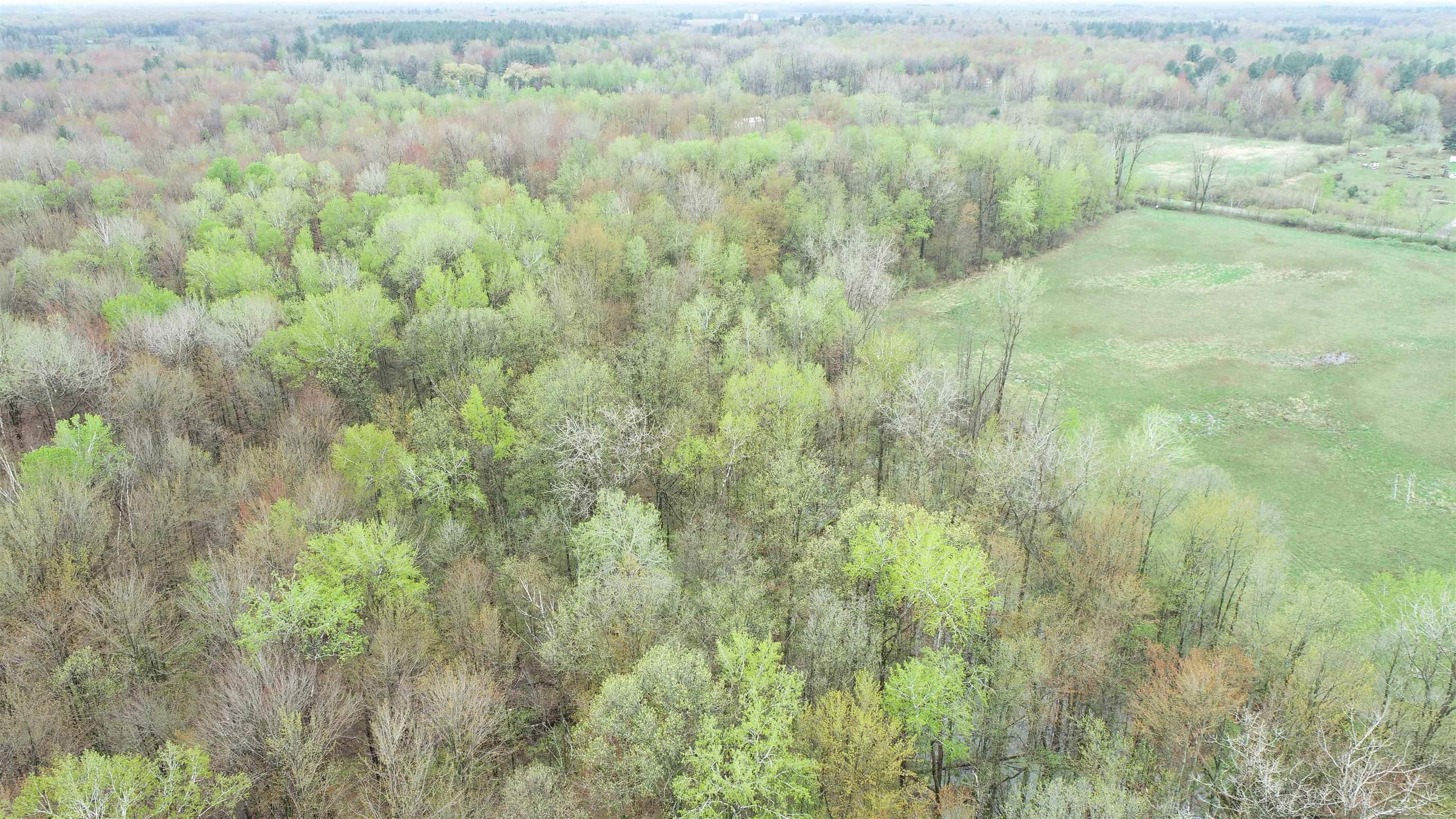 0 Carter Pinconning, MI 48650 - Photo 1 of 29 50108167.JPG