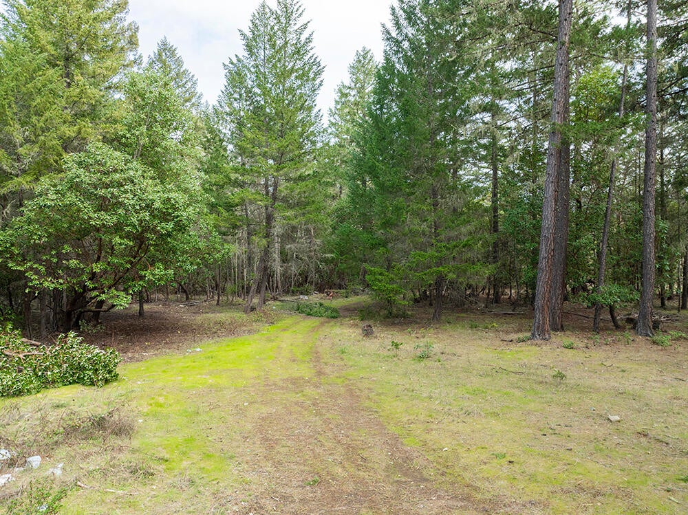 15150 Water Gap Road Williams, OR 97544 - Photo 5 of 53 6