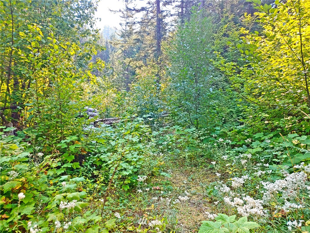 2120 South Cle Elum Ridge Road Cle Elum, WA 98922 - Photo 11 of 35 Gallery Image 11