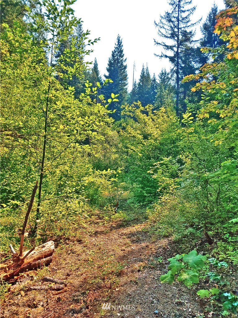 2120 South Cle Elum Ridge Road Cle Elum, WA 98922 - Photo 12 of 35 Gallery Image 12