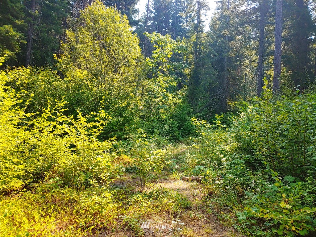 2120 South Cle Elum Ridge Road Cle Elum, WA 98922 - Photo 16 of 35 Gallery Image 16