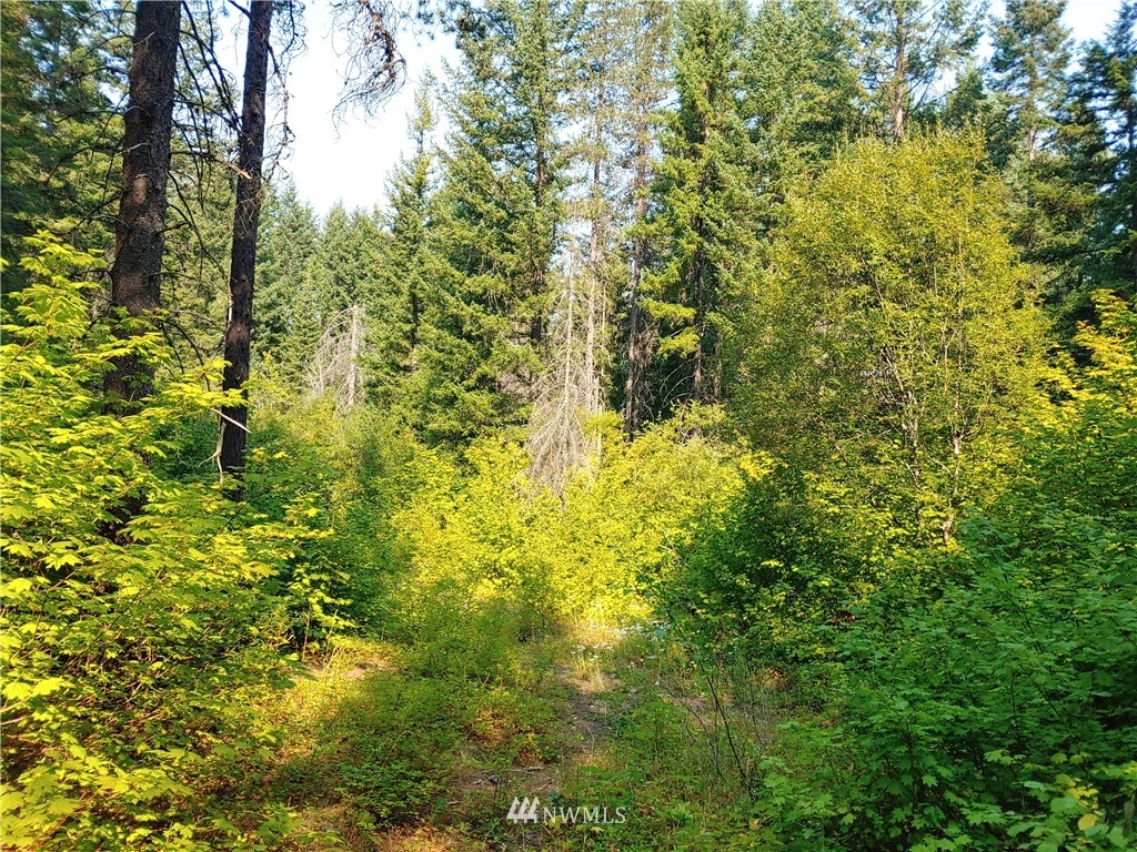 2120 South Cle Elum Ridge Road Cle Elum, WA 98922 - Photo 17 of 35 Gallery Image 17