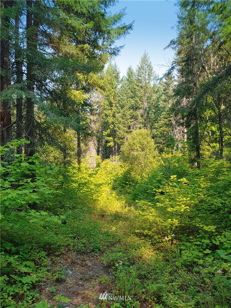 2120 South Cle Elum Ridge Road Cle Elum, WA 98922 - Photo 19 of 35 Gallery Image 19