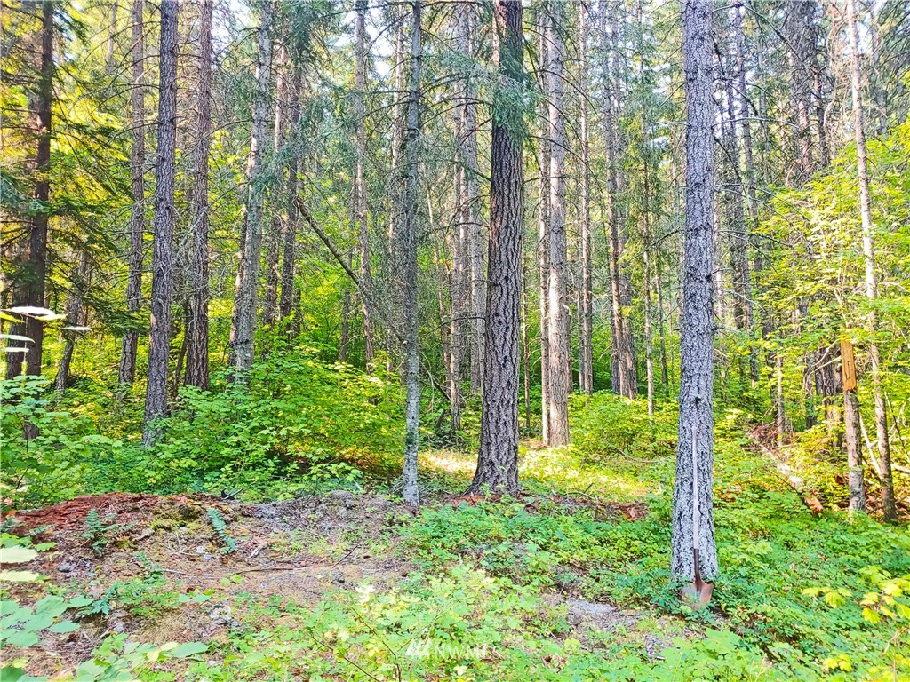 2120 South Cle Elum Ridge Road Cle Elum, WA 98922 - Photo 20 of 35 Gallery Image 20