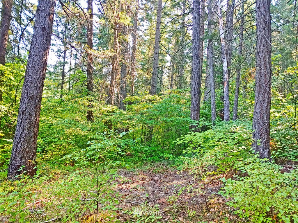 2120 South Cle Elum Ridge Road Cle Elum, WA 98922 - Photo 3 of 35 Gallery Image 3