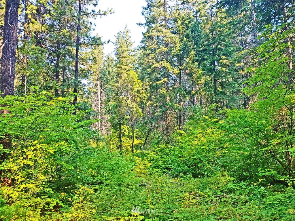 2120 South Cle Elum Ridge Road Cle Elum, WA 98922 - Photo 21 of 35 Gallery Image 21