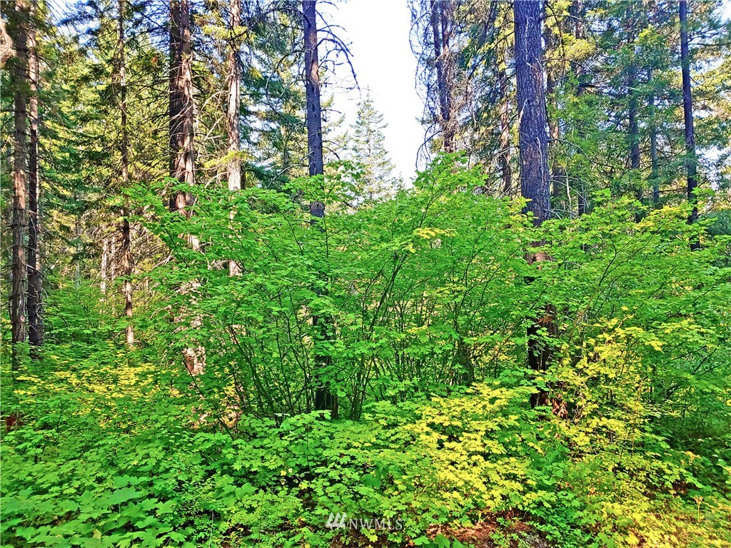 2120 South Cle Elum Ridge Road Cle Elum, WA 98922 - Photo 22 of 35 Gallery Image 22
