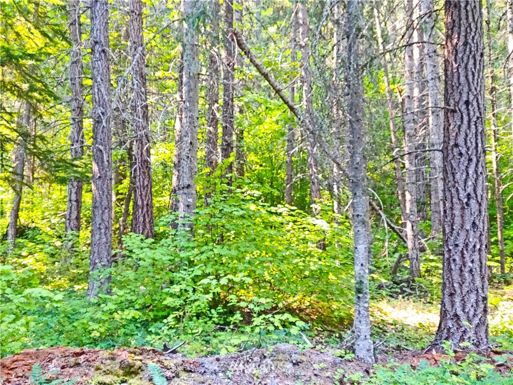 2120 South Cle Elum Ridge Road Cle Elum, WA 98922 - Photo 23 of 35 Gallery Image 23
