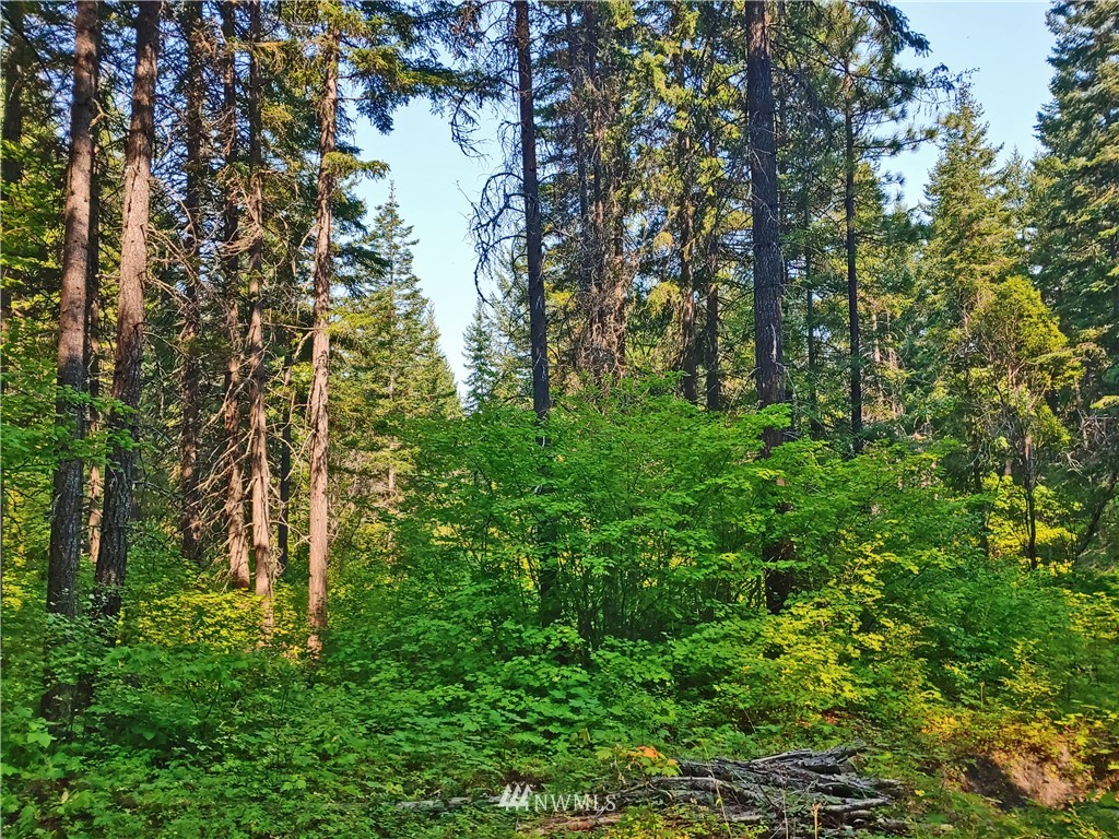 2120 South Cle Elum Ridge Road Cle Elum, WA 98922 - Photo 24 of 35 Gallery Image 24