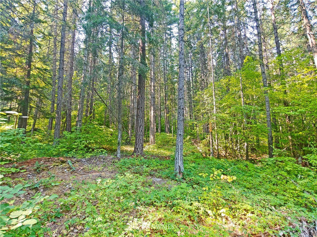 2120 South Cle Elum Ridge Road Cle Elum, WA 98922 - Photo 25 of 35 Gallery Image 25
