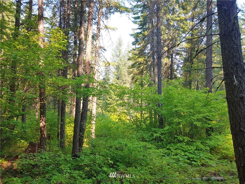 2120 South Cle Elum Ridge Road Cle Elum, WA 98922 - Photo 30 of 35 Gallery Image 30