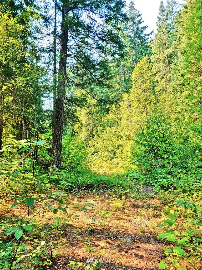 2120 South Cle Elum Ridge Road Cle Elum, WA 98922 - Photo 8 of 35 Gallery Image 8