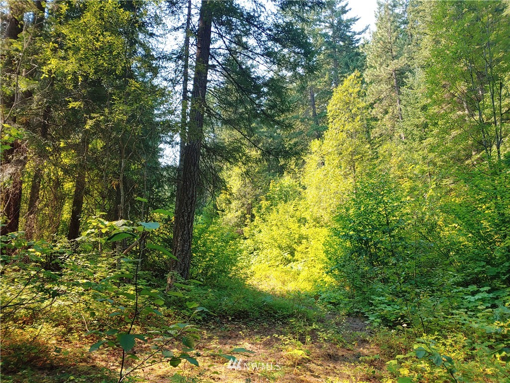 2120 South Cle Elum Ridge Road Cle Elum, WA 98922 - Photo 9 of 35 Gallery Image 9