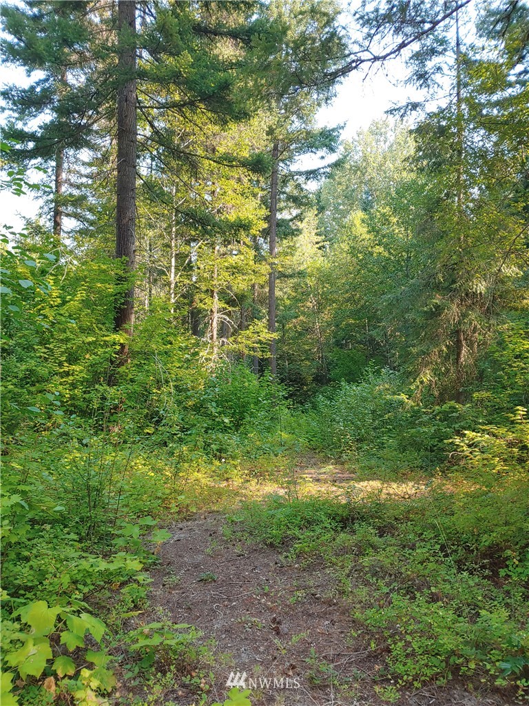 2120 South Cle Elum Ridge Road Cle Elum, WA 98922 - Photo 10 of 35 Gallery Image 10