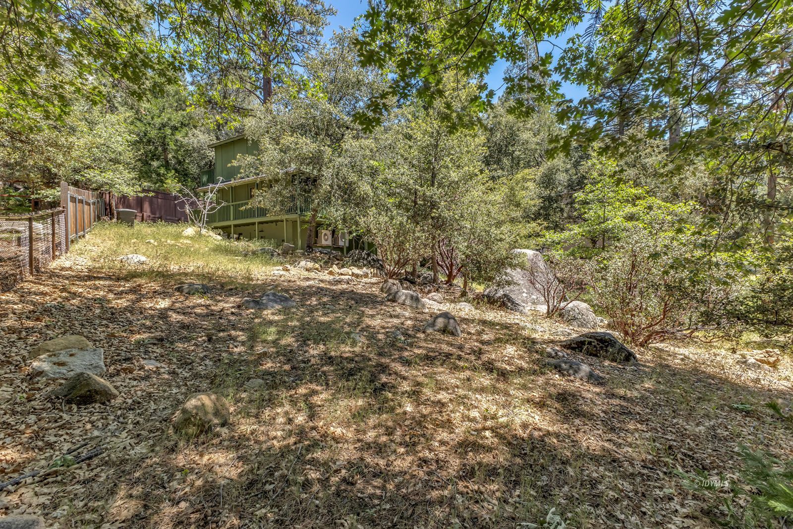 25595 Glen Road Idyllwild, CA 92549 - Photo 47 of 51 a view of a yard with a tree