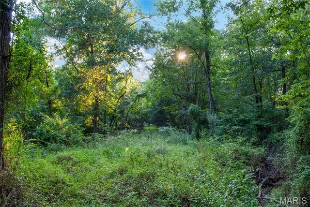 $75,000 | . Apn: 01-34.0-1-00-002.001.000, Truxton, MO 63381