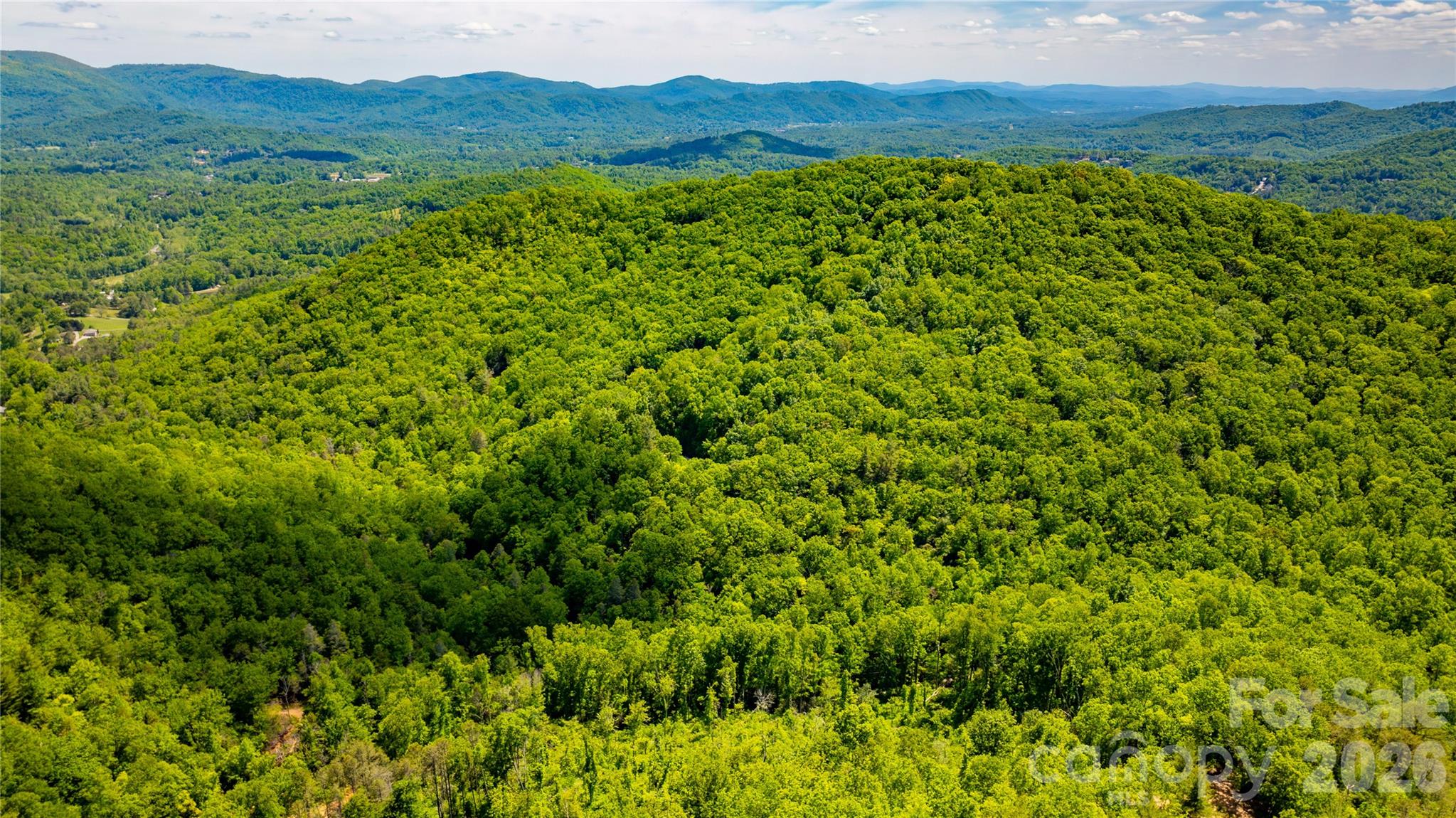 214 Ballard Creek Road Fairview, NC 28730 - Photo 5 of 18 a view of a lush green forest with trees and some houses