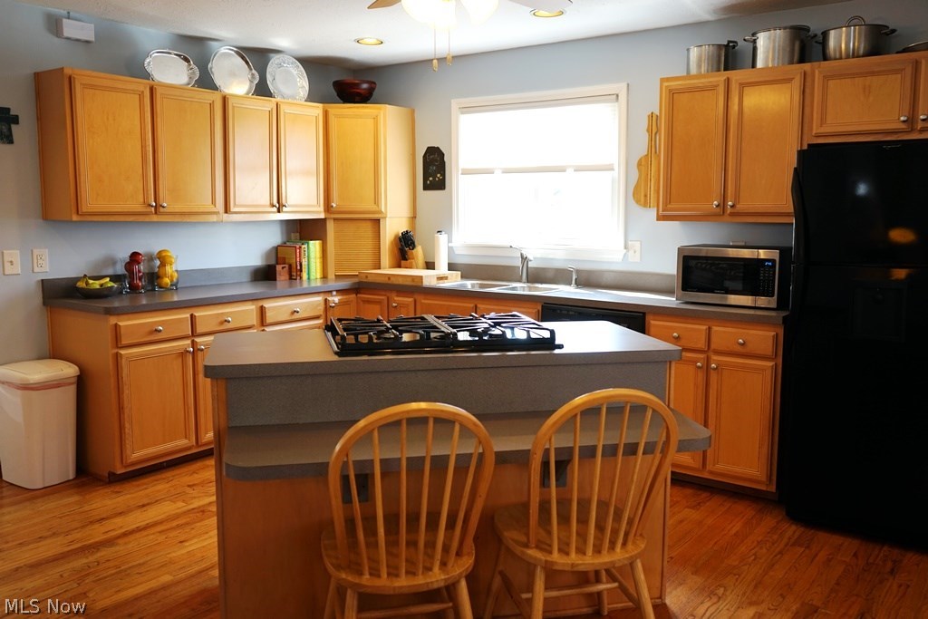 4497 Emerson Road Cleveland, OH 44121 - Photo 6 of 17